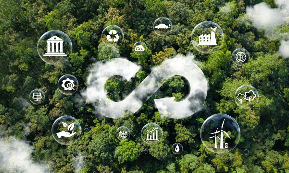 Ten actionable steps to net zero success