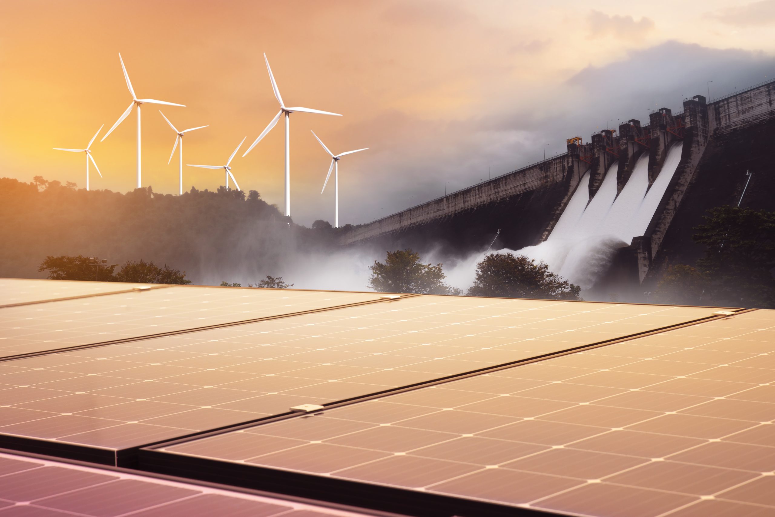 NCZ carbon credits