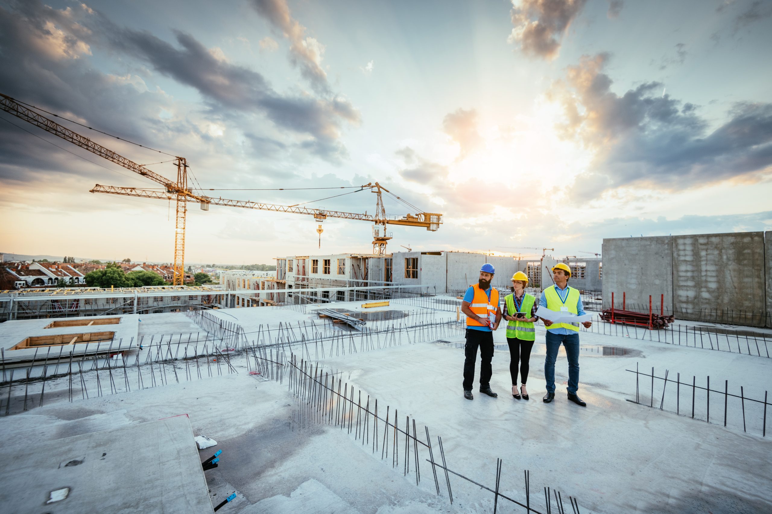 How being carbon neutral can be beneficial to your tender proposal