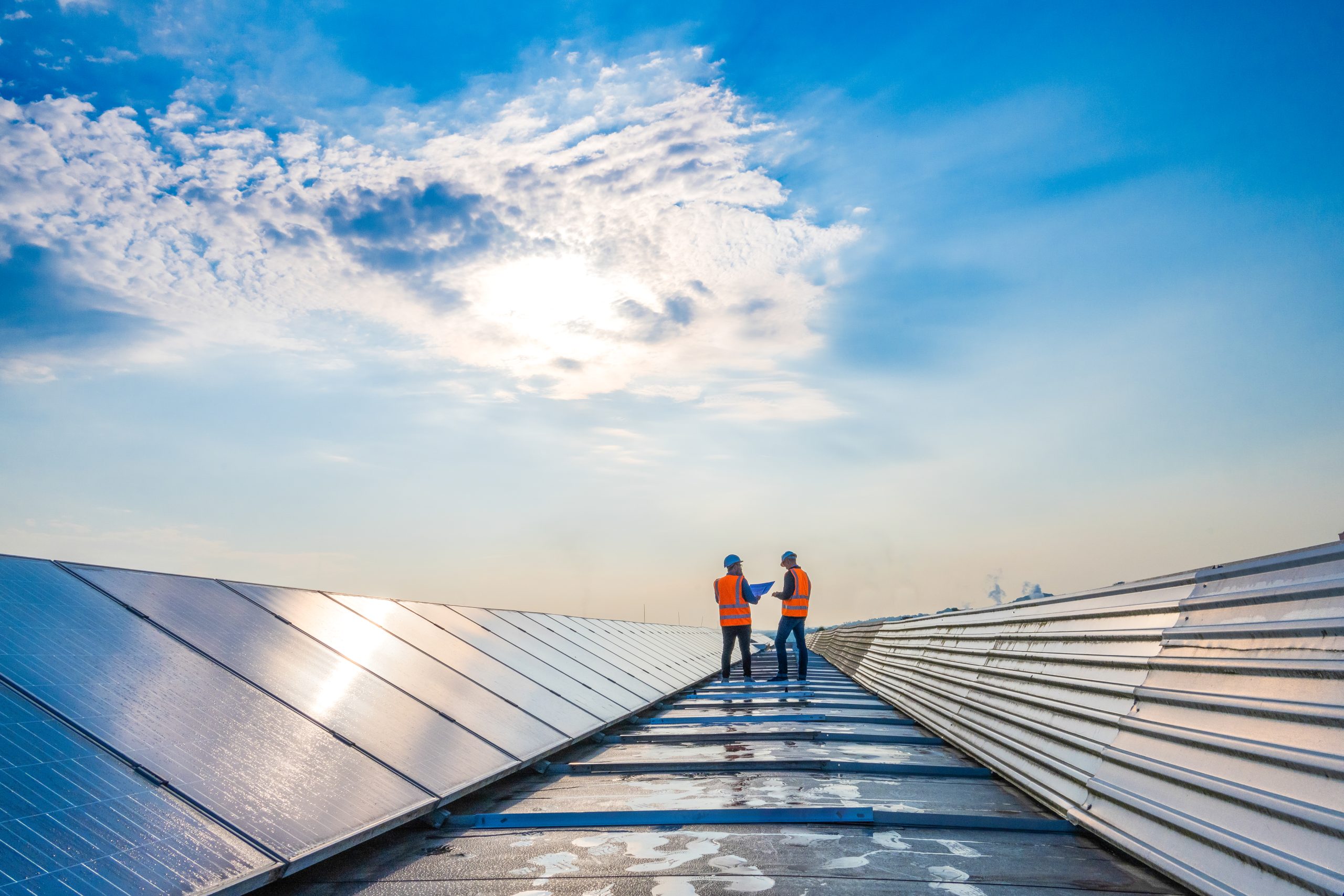 Better for business, better for earth: embedding sustainability into the fabric of your business