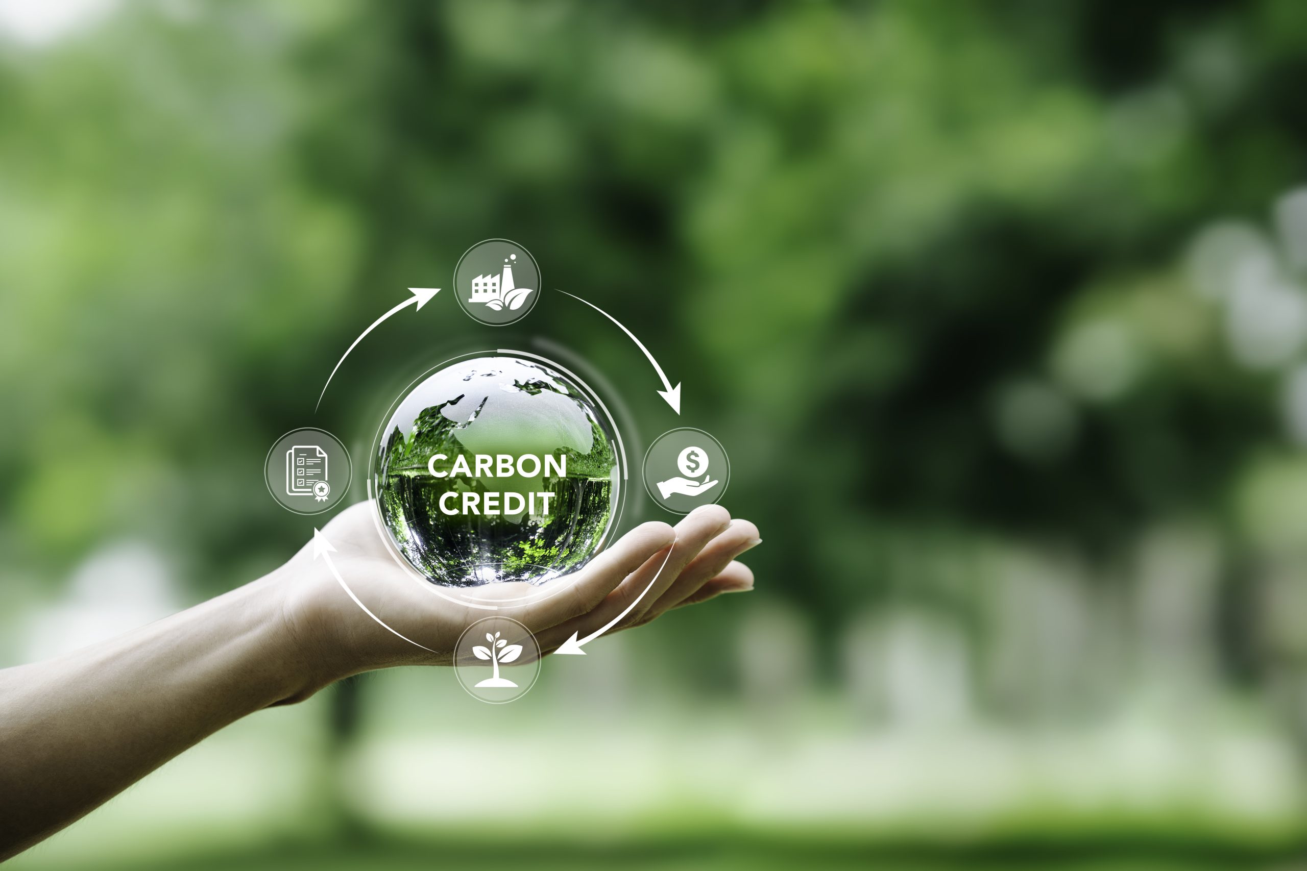 What are carbon credits: A step towards a greener tomorrow