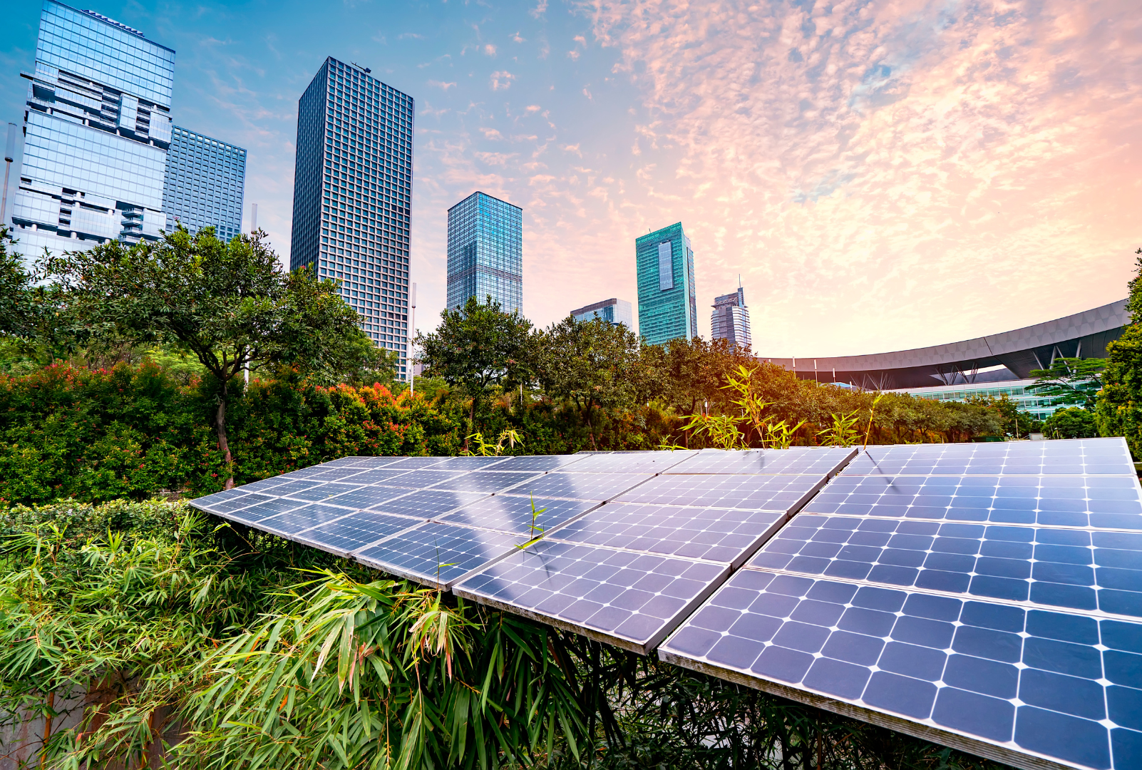 ISSB’s New Standards: simplifying sustainability reporting for greater credibility 