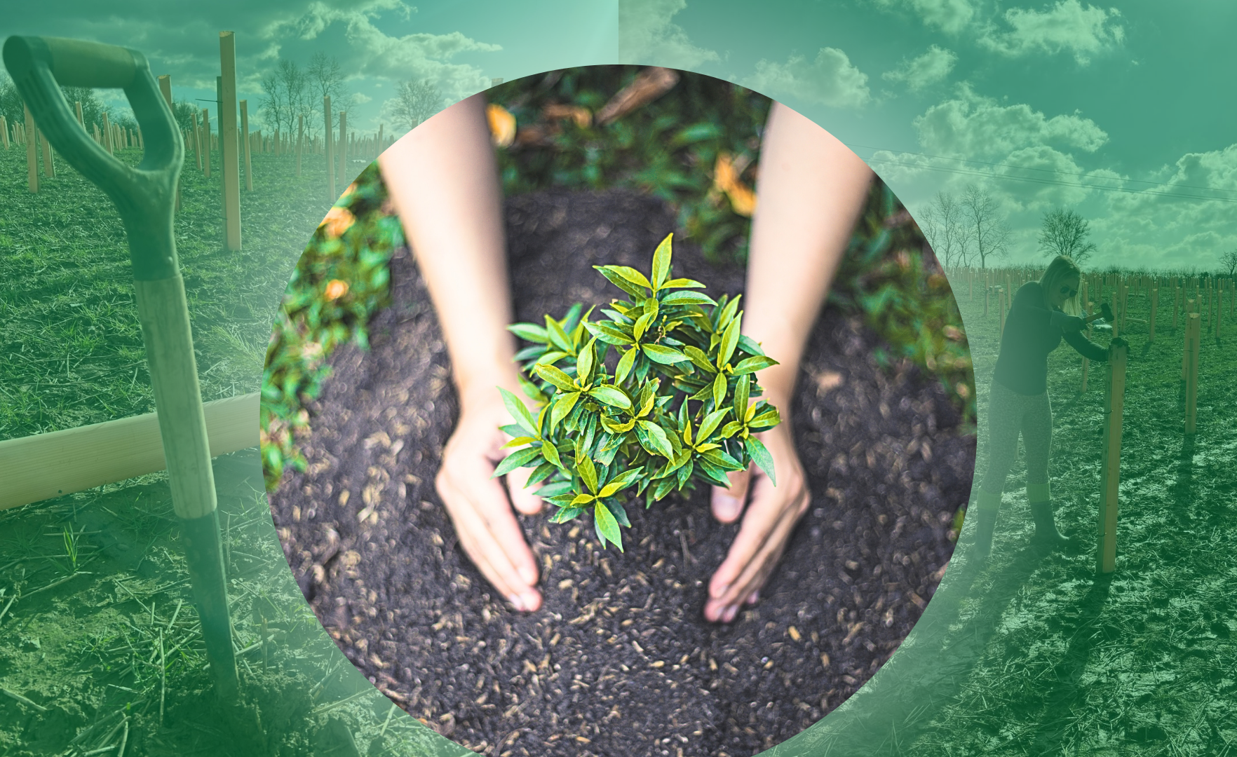 Planting trees isn’t a strategy… it’s a promise you must earn.
