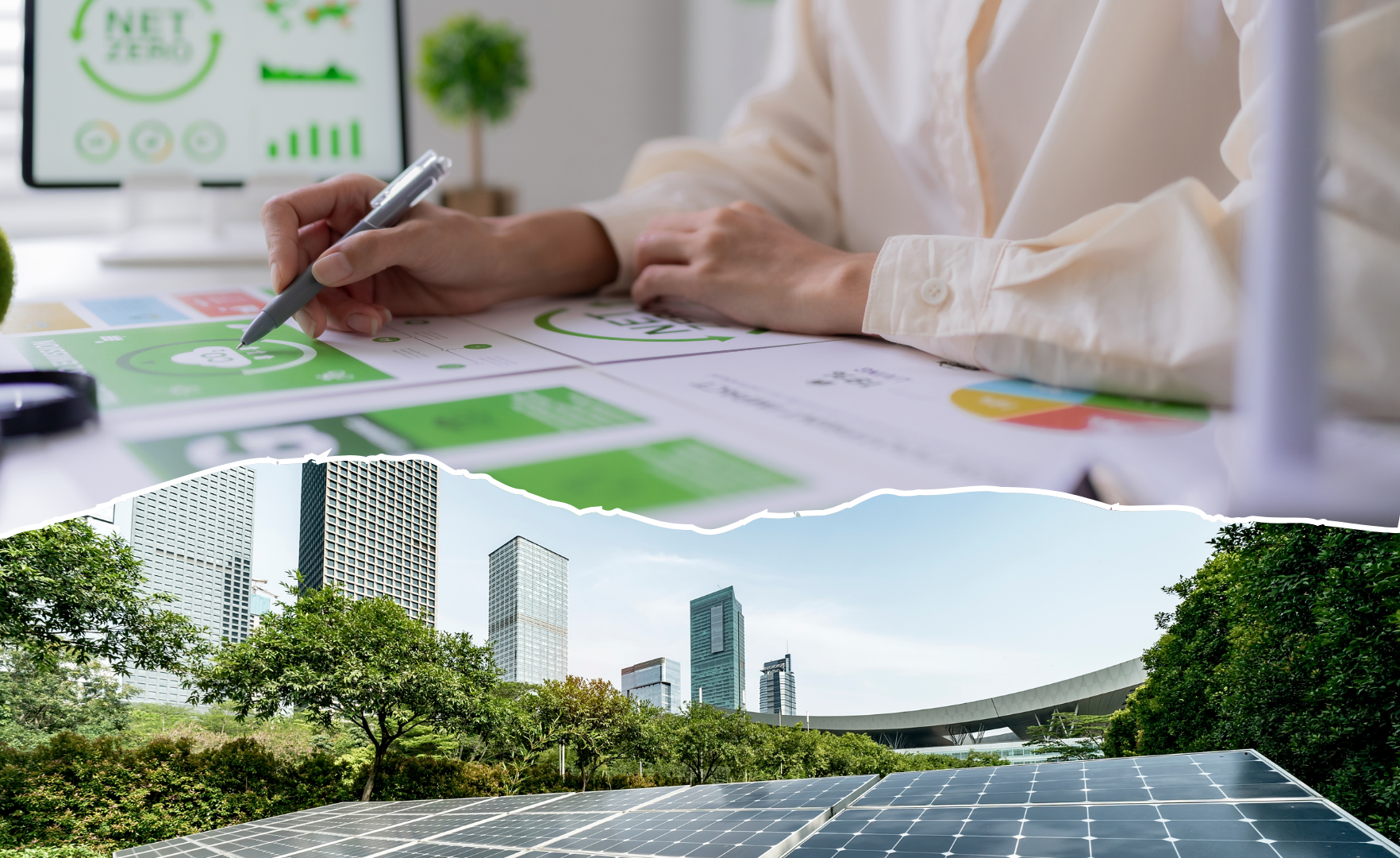 How to Build a Net Zero Culture from the Inside Out
